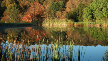 Sherman, New York outdoors