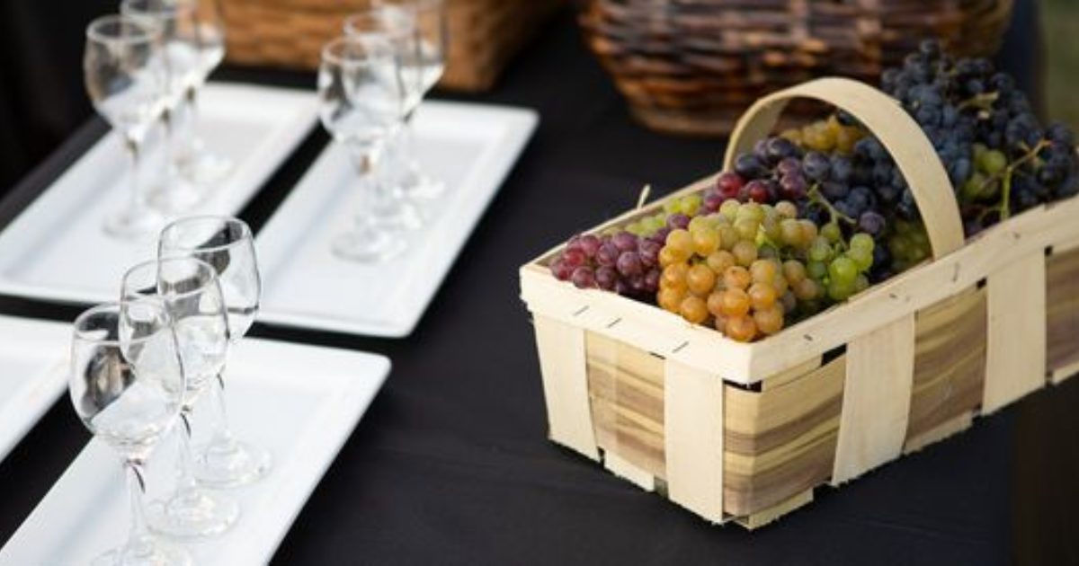 Great Grape Walk Lake Erie Wine Country