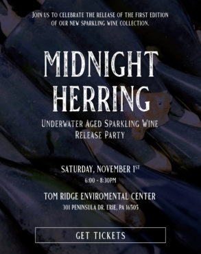 MV019 Midnight Herring Email Invite