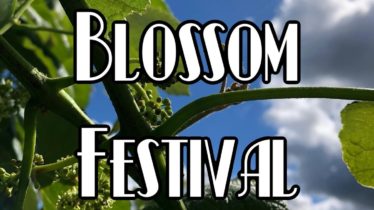 2024 Blossom Fest