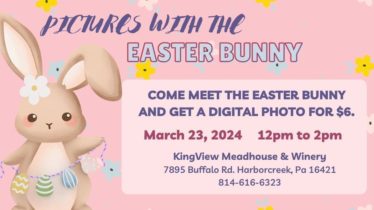 Meet the Easter Bunny!