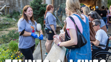 Felines & Wines at the Erie Zoo