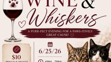 Wine and Whiskers