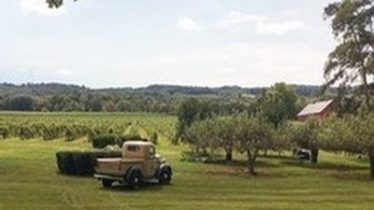 The Estate Tour--Vineyards & More