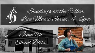 Sundays at the Cellar