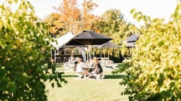 Opening FLIGHT, Outdoor Tastings
